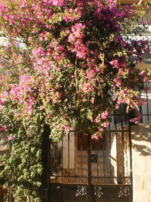 شقة Zavrakli أغيا باراسكيفي المظهر الخارجي الصورة